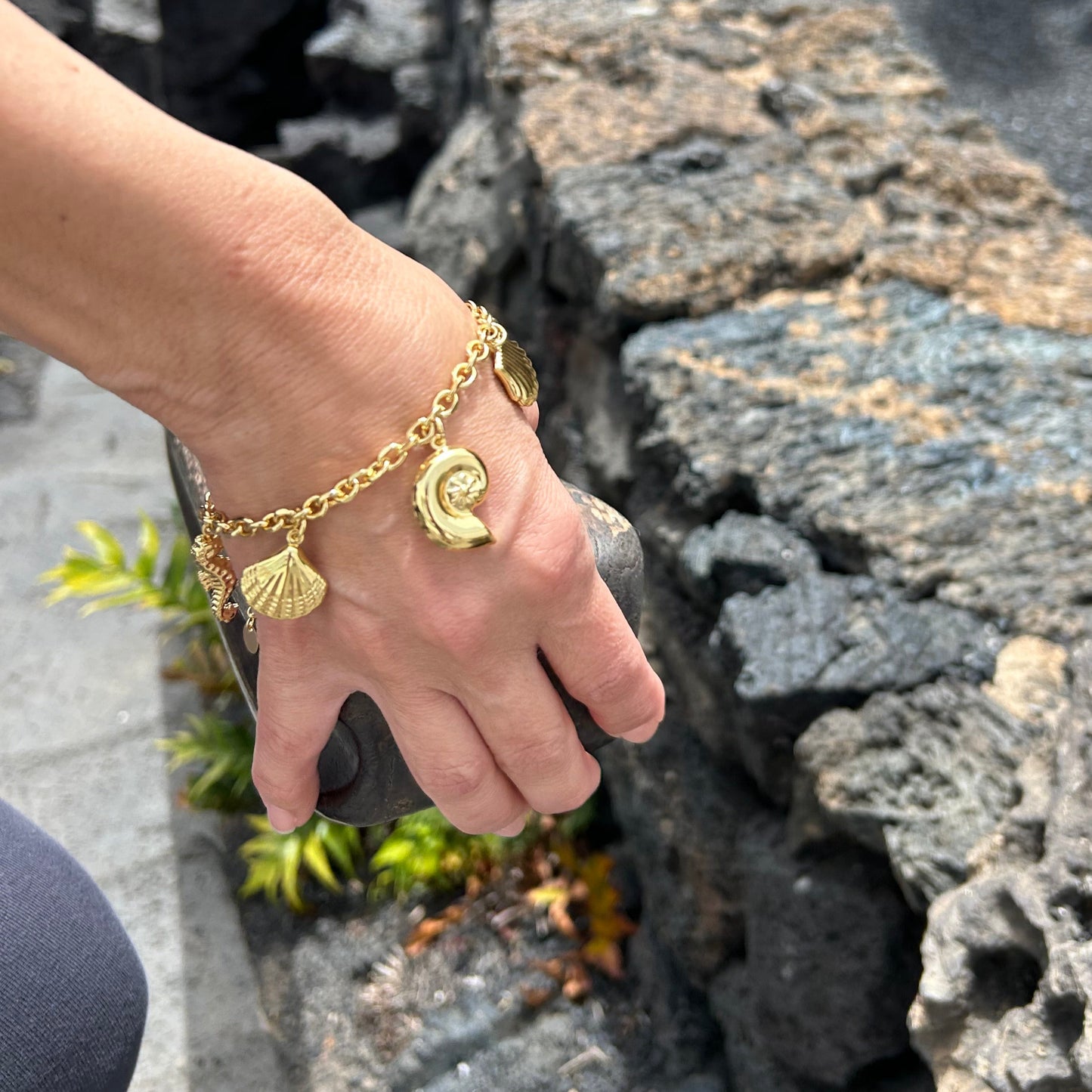 Pulsera Charms
