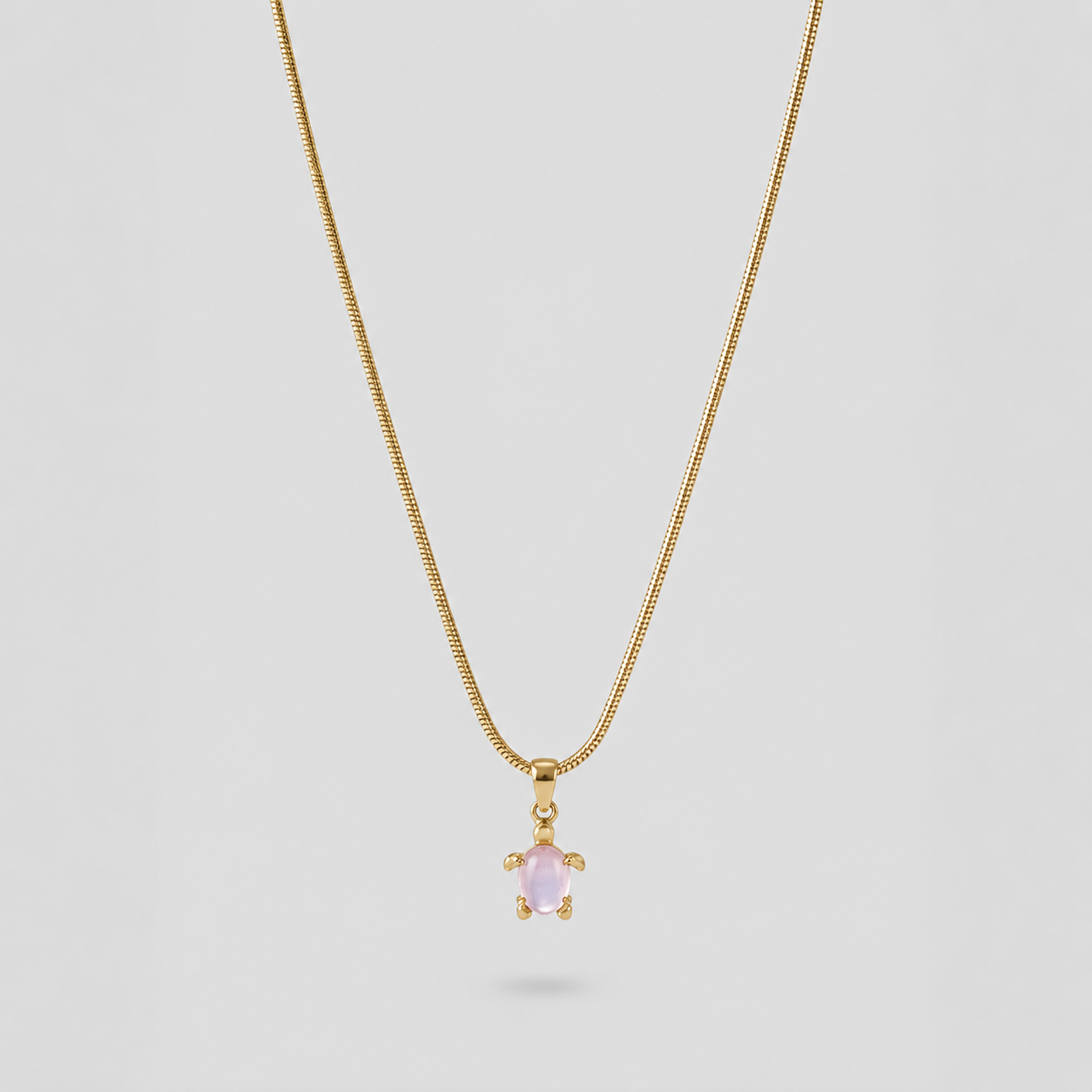 Collar tortuga