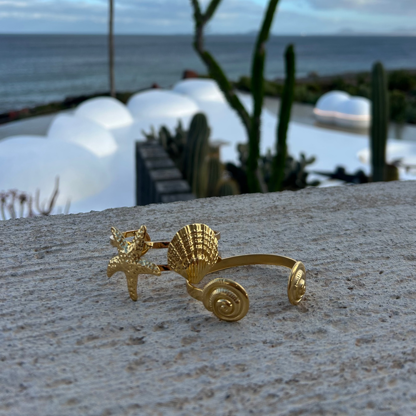 Brazalete Caracol