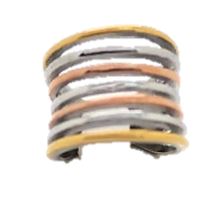 Anillo Multi