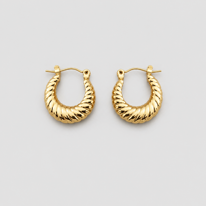Argollas Roma