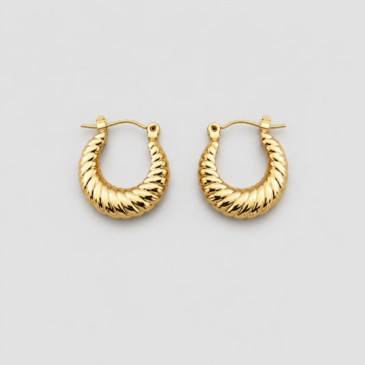 Argollas Roma