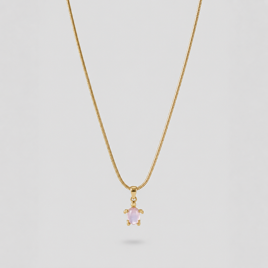 Collar tortuga