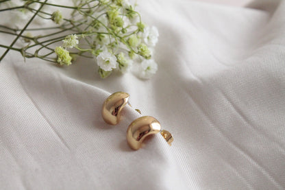 Pendientes Helena