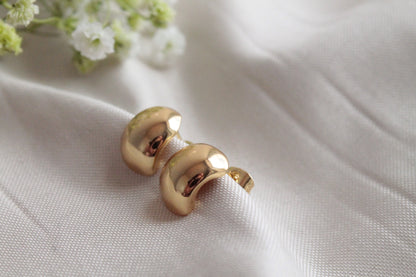 Pendientes Helena