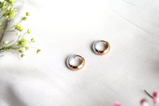 Argollas Circulares Bicolor