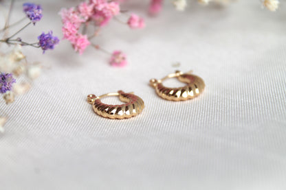 Argollas Trenzadas