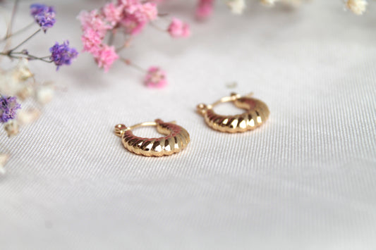 Argollas Trenzadas