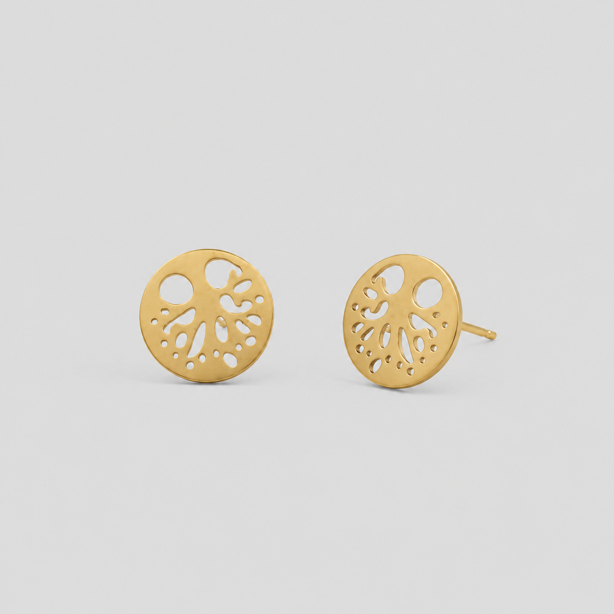 Pendientes Erika