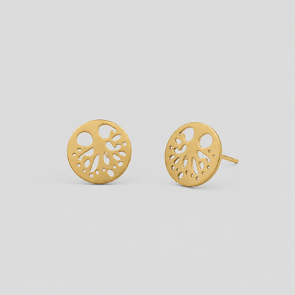 Pendientes Erika