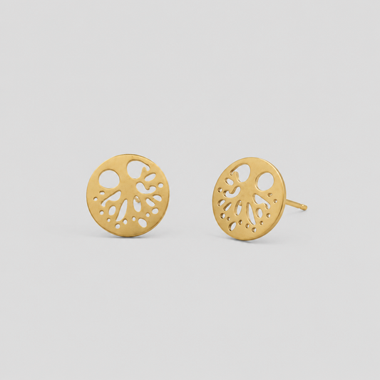 Pendientes Erika