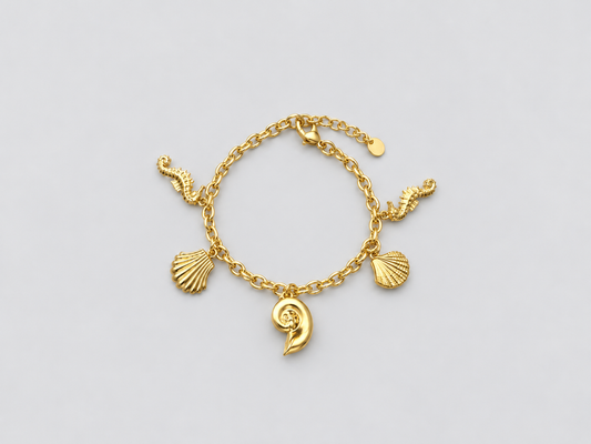 Charm bracelet