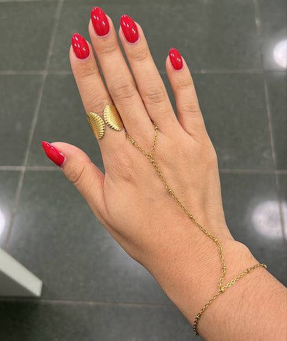 Anillo Concha