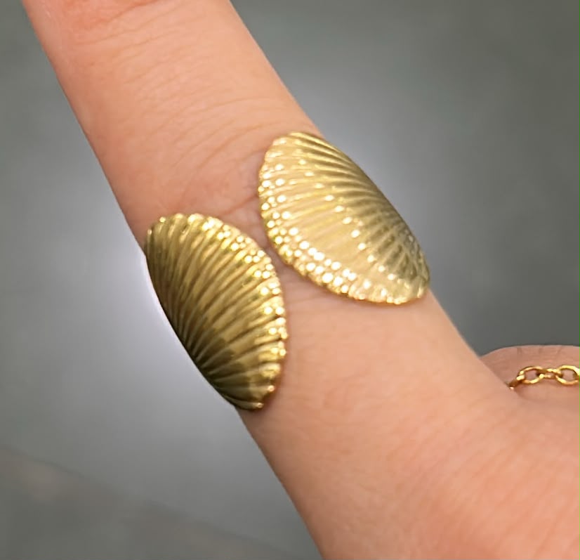 Anillo Concha