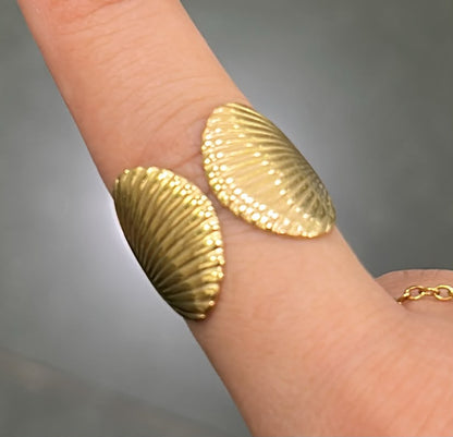 Anillo Concha