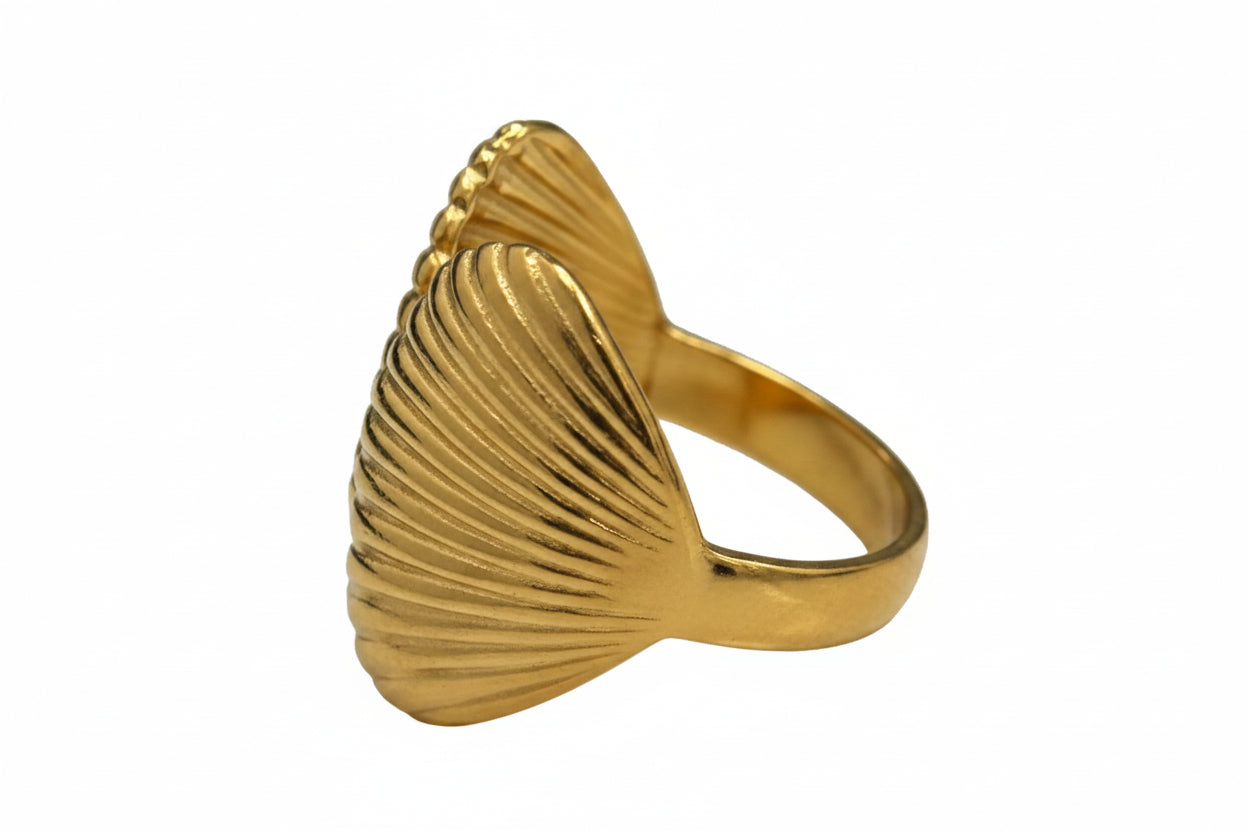 Anillo Concha