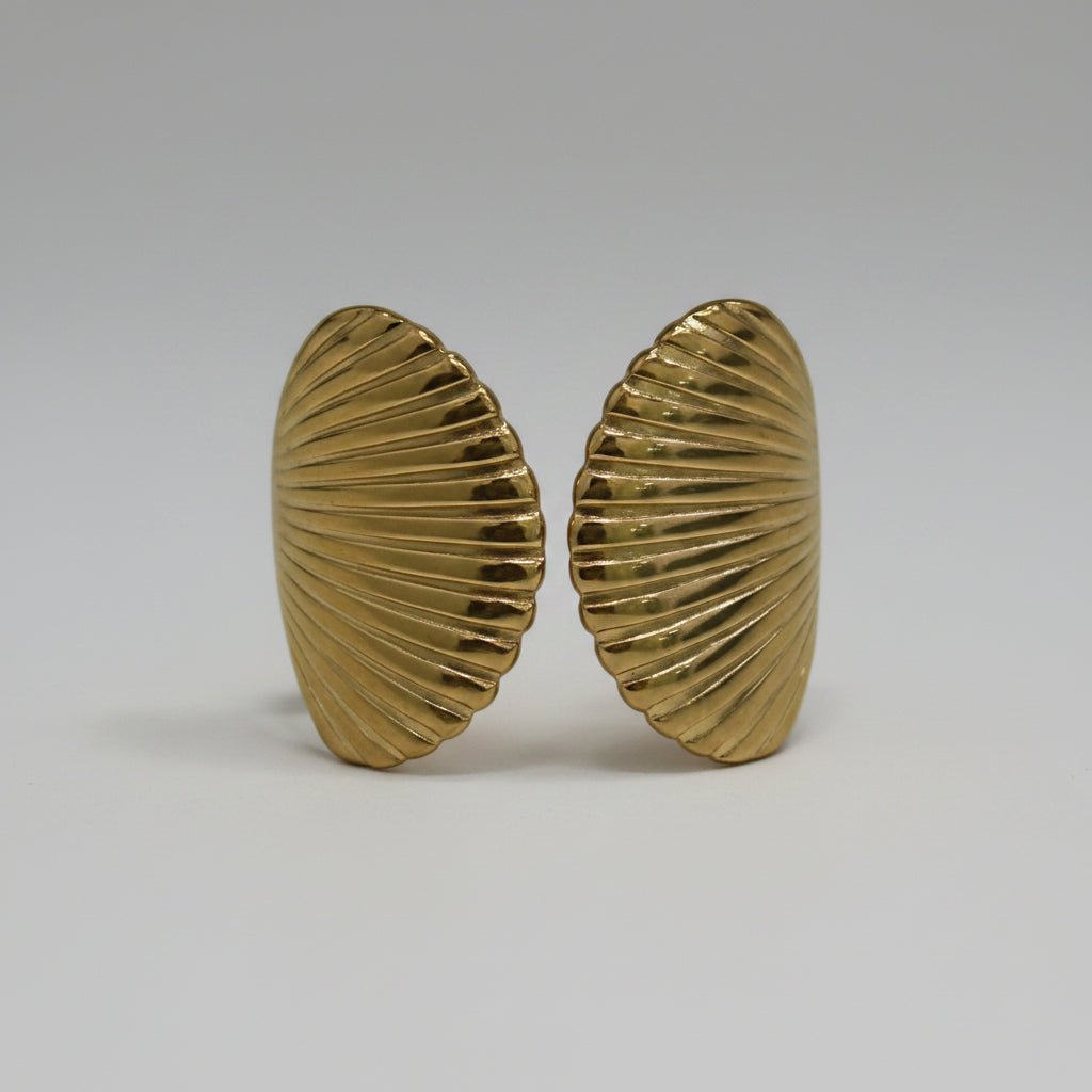 Anillo Concha