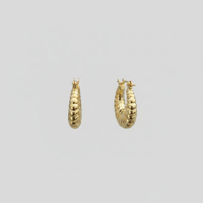 Argollas Roma