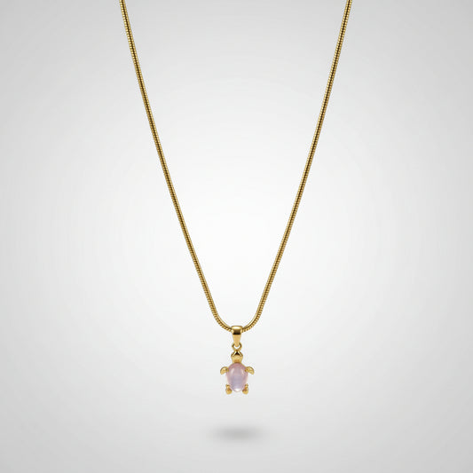 Collar tortuga